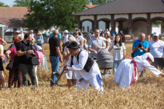 U Đurđinu održano tradicionalno 59. “Takmičenje risara”